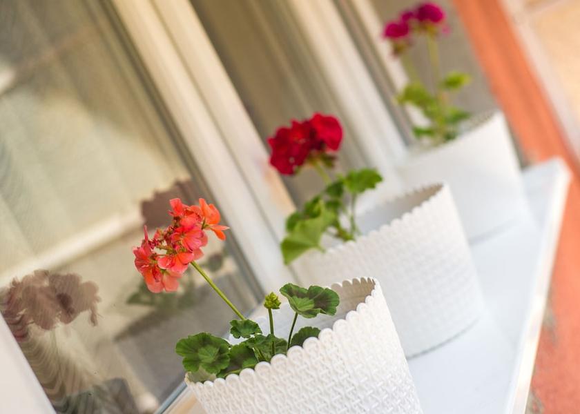 Herzegovina-Neretva Canton Mostar Exterior Detail