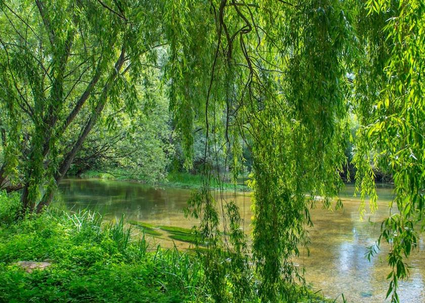Herzegovina-Neretva Canton Mostar Exterior Detail