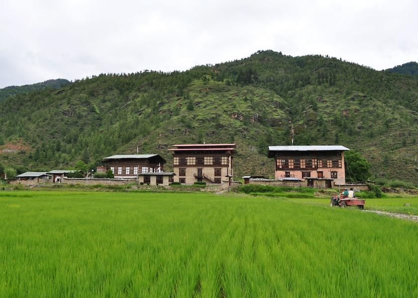  Paro Exterior Detail
