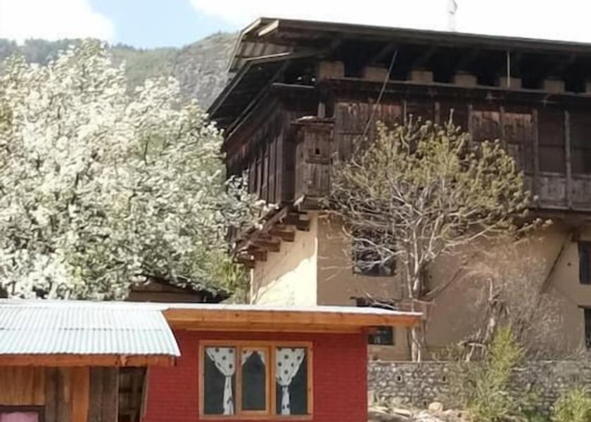  Paro Exterior Detail