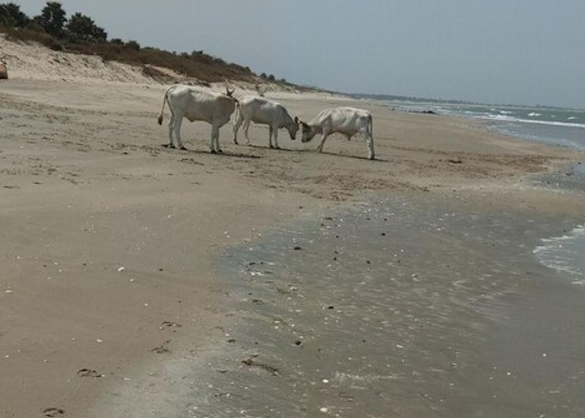  Sanyang Beach