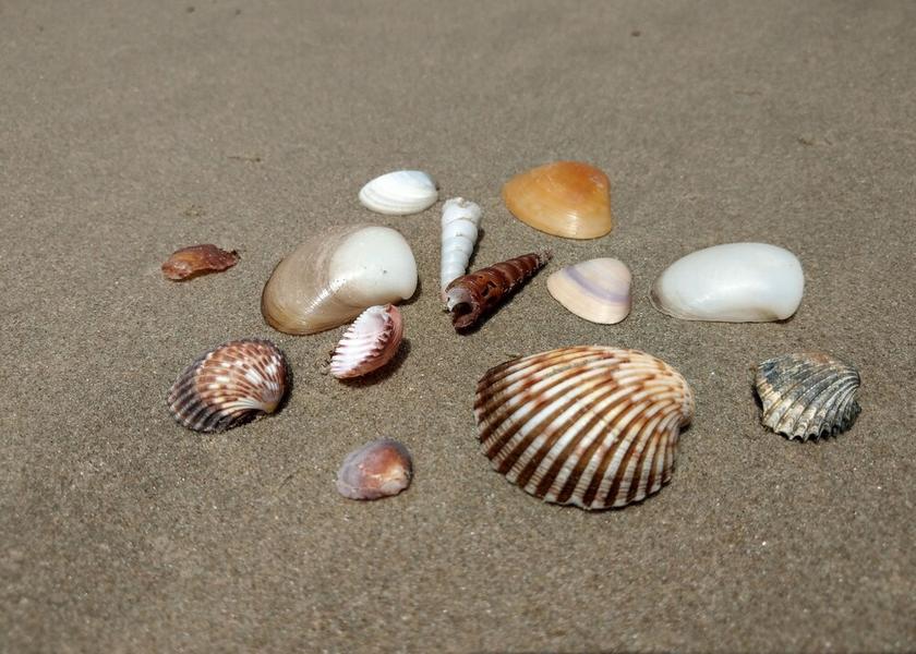  Sanyang Beach