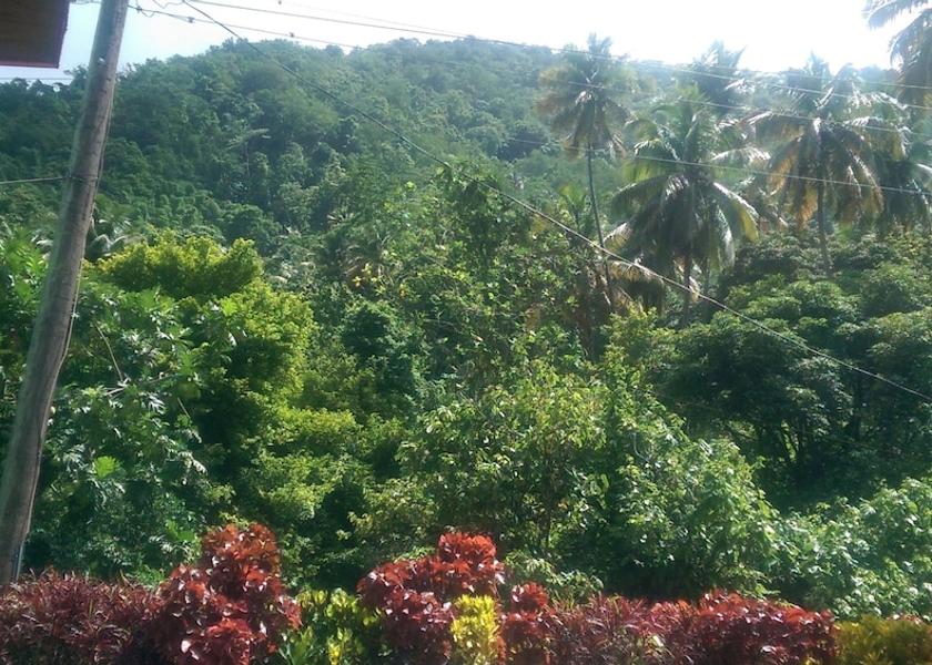  Soufriere Property Grounds