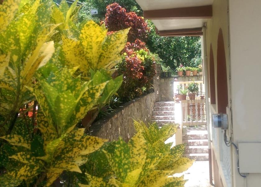  Soufriere Property Grounds