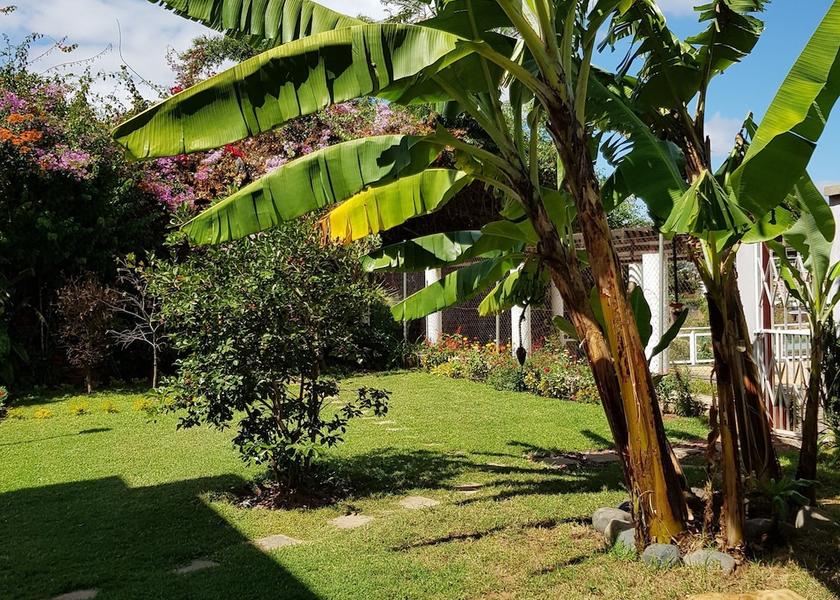  Antananarivo Garden