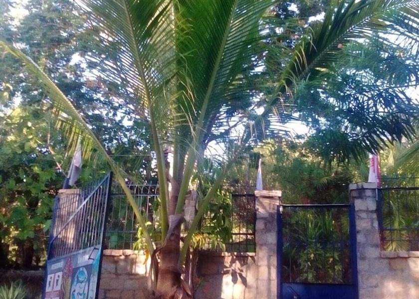  Nosy Be Exterior Detail