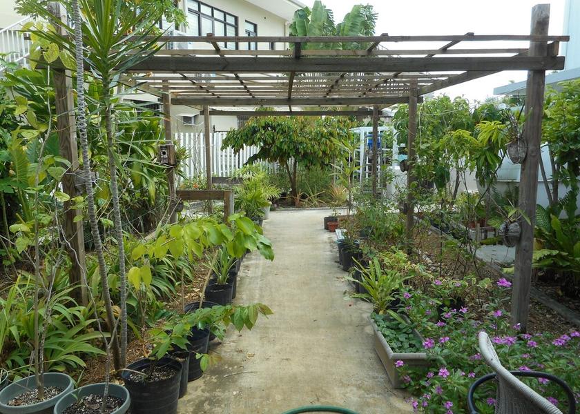  Saipan Garden