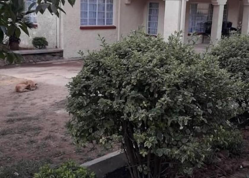  Lilongwe Exterior Detail