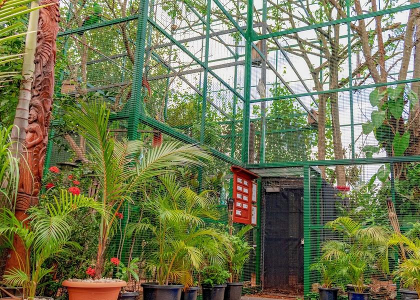  Port Moresby Garden