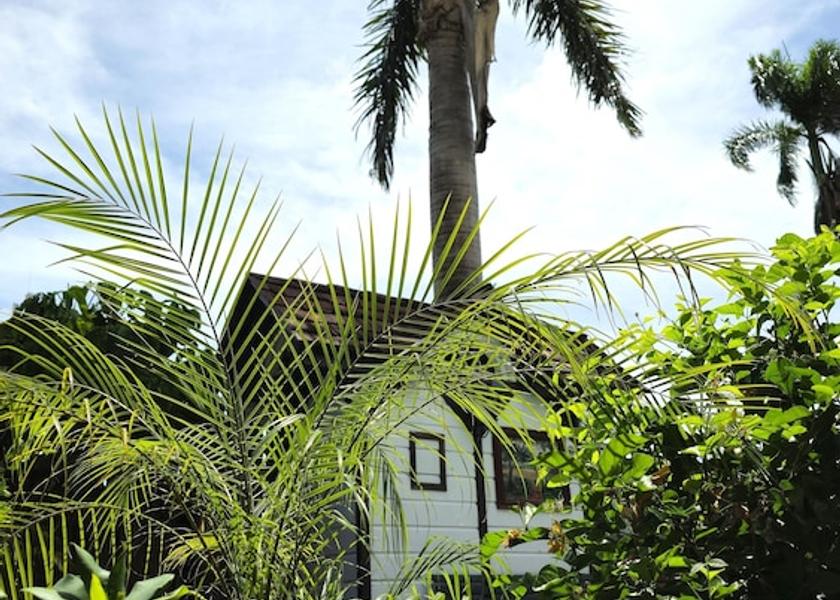  Paramaribo Natural Pool