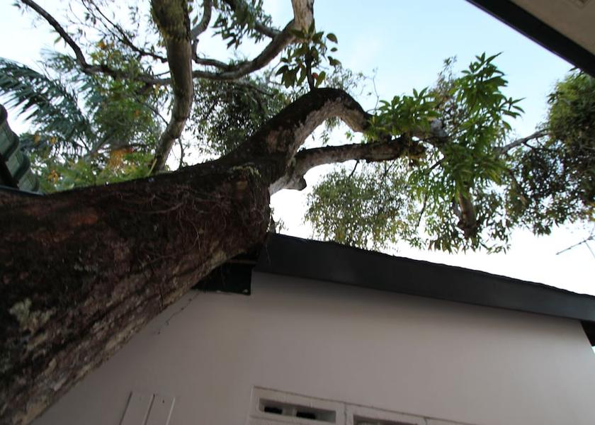  Paramaribo Exterior Detail