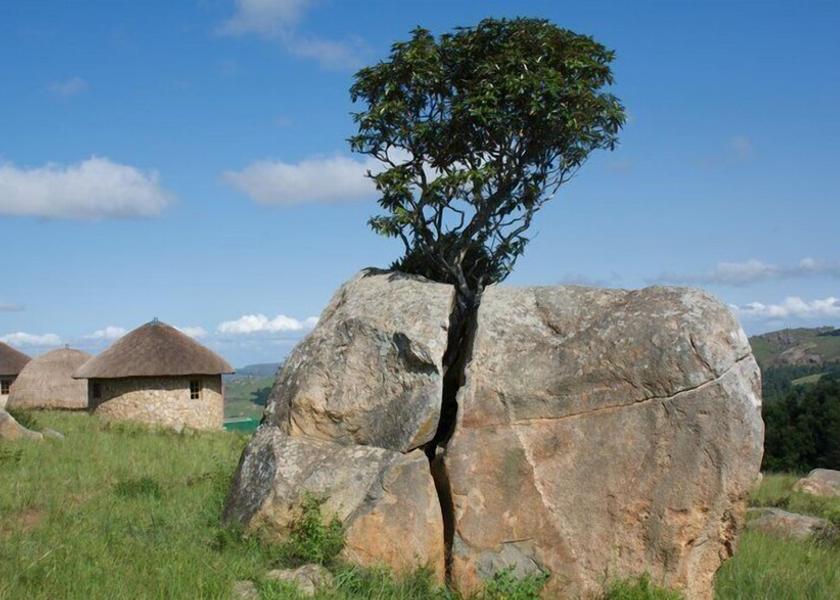  Piggs Peak Exterior Detail