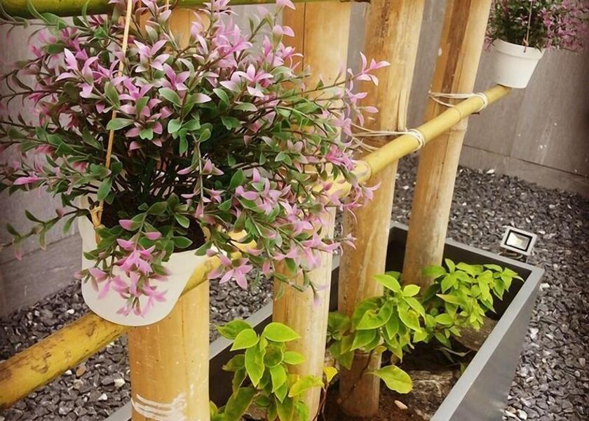  Lome Exterior Detail