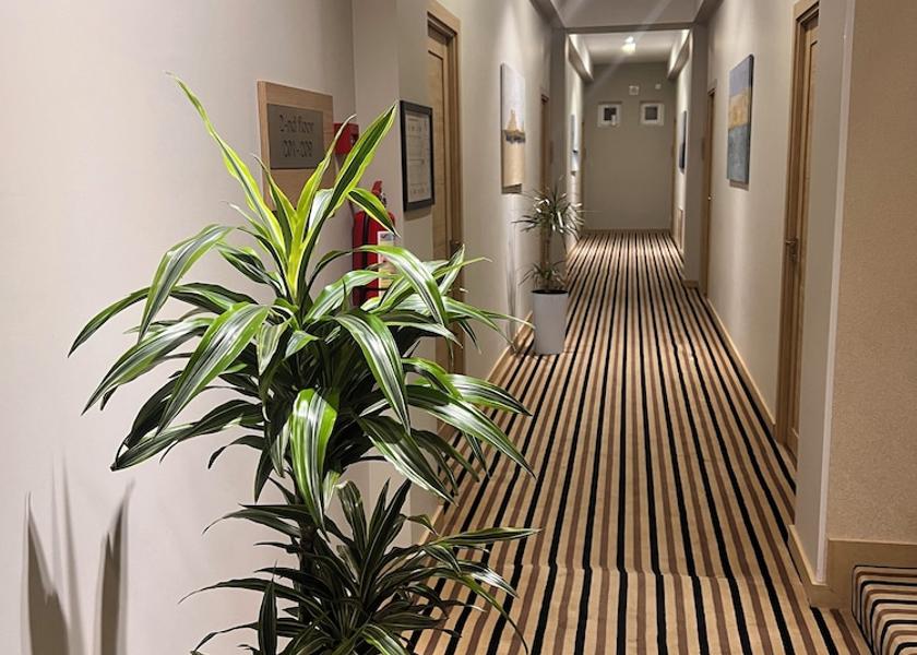  Tashkent Hallway