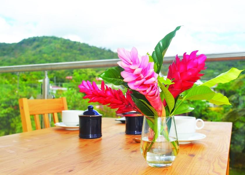  Apia Land View from Property