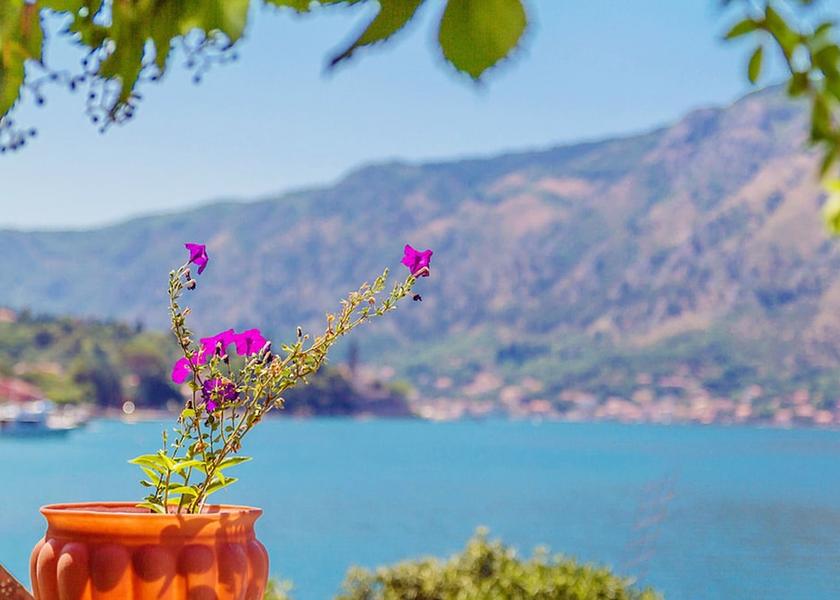  Kotor View from Property