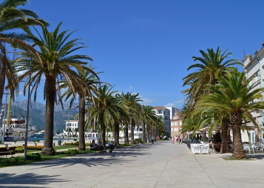  Tivat Exterior Detail