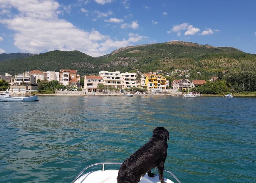  Tivat Aerial View