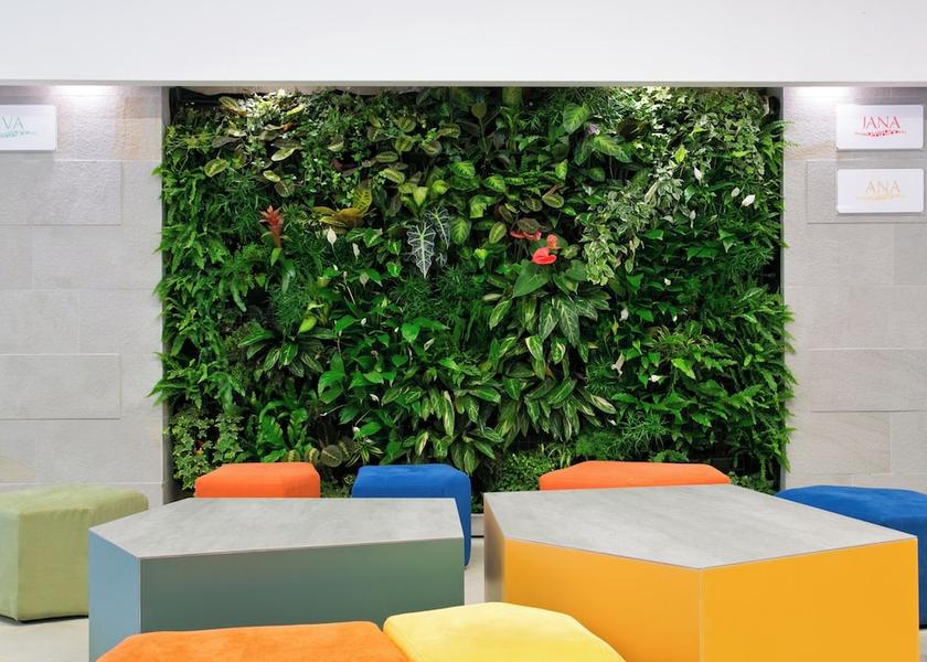 Budva Municipality Petrovac Lobby sitting area