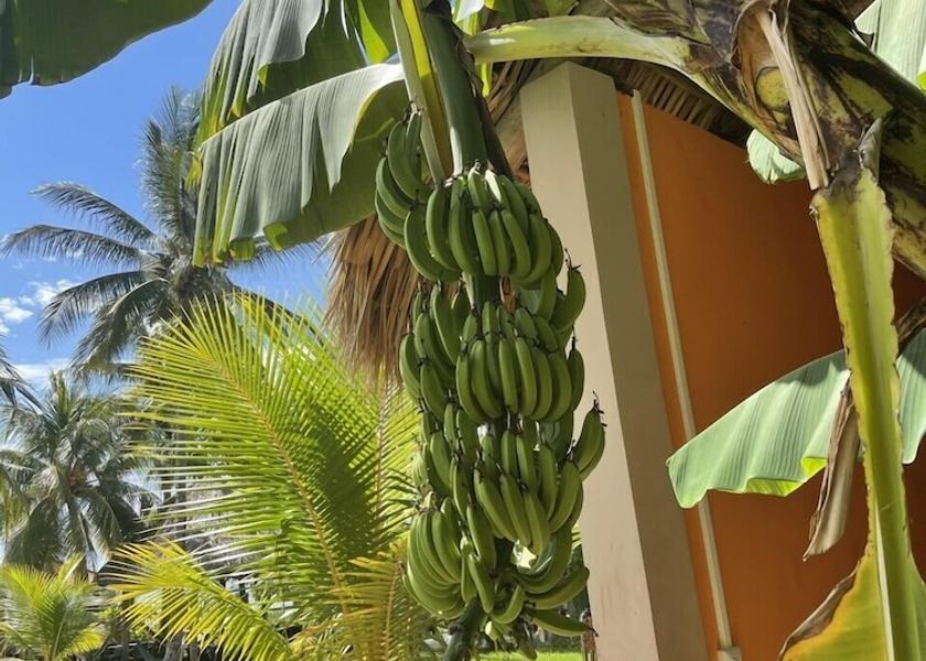 Usulutan (department) El Cuco Exterior Detail