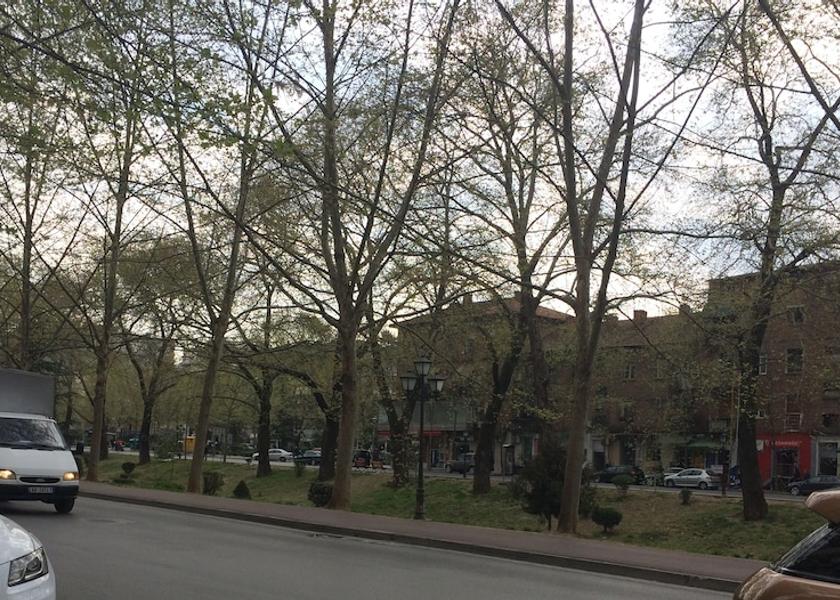  Tirana Exterior Detail