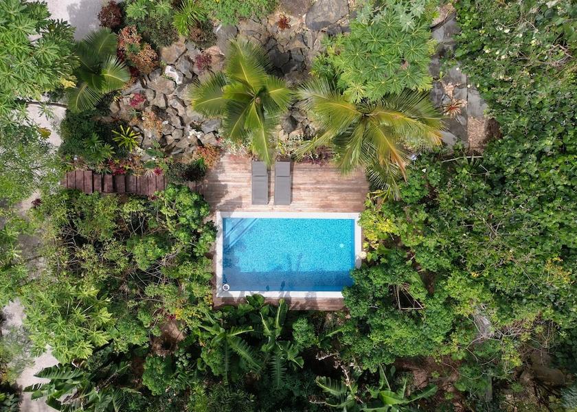  Rarotonga Primary image