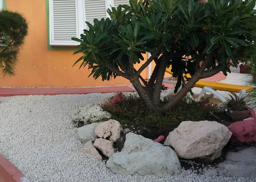  Inch Marlowe Property Grounds