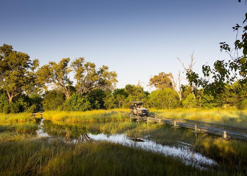  Khwai Safari and game