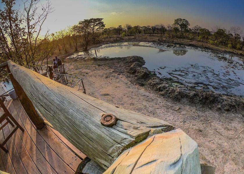  Kasane Exterior Detail