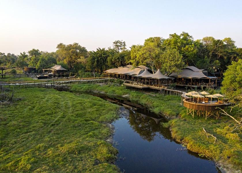  Moremi Primary image