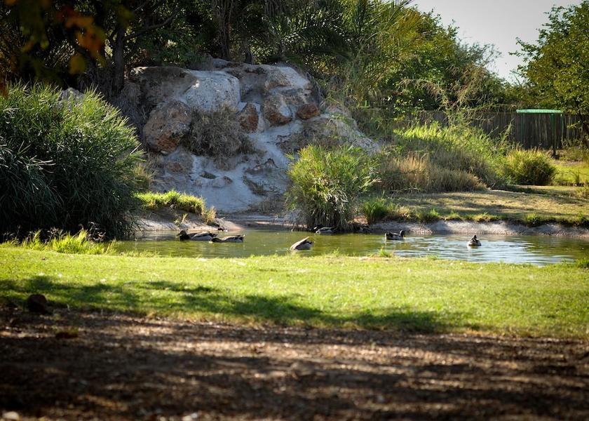  Letlhakane Property Grounds