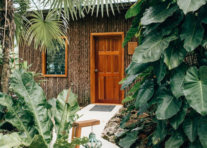 Cayo District Mountain Pine Ridge Terrace