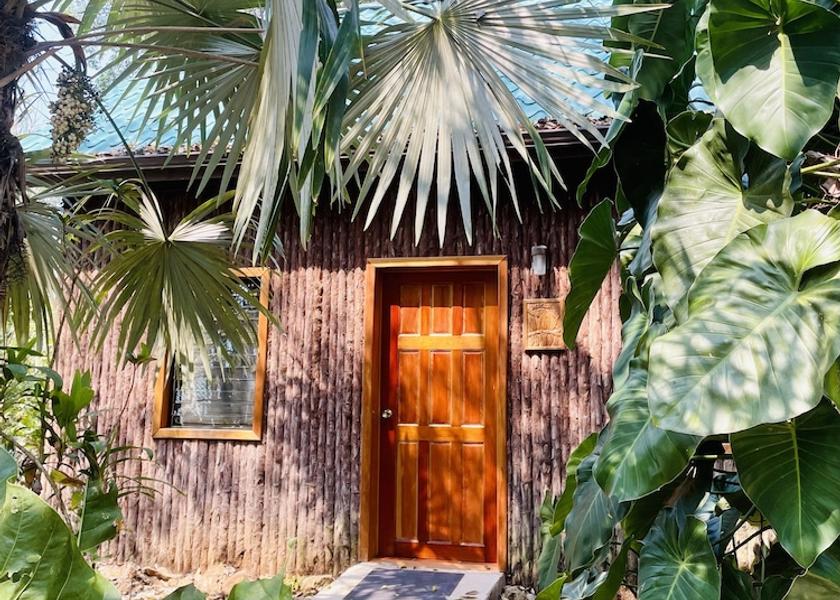 Cayo District Mountain Pine Ridge Terrace