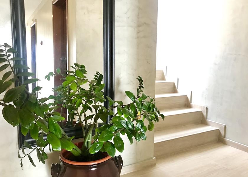  Sal Staircase