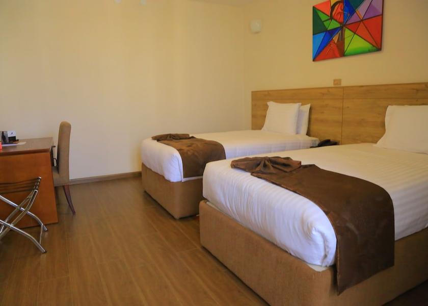 Addis Ababa Addis Ababa Room