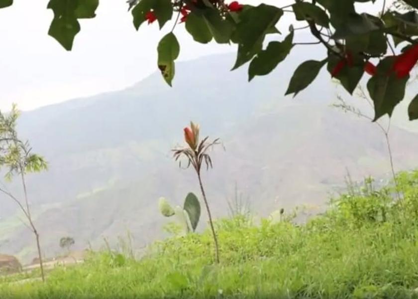 Amhara Region Lalibela Garden