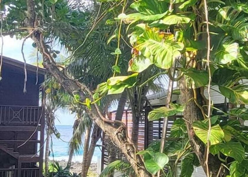 Islas de la Bahia Roatan Terrace