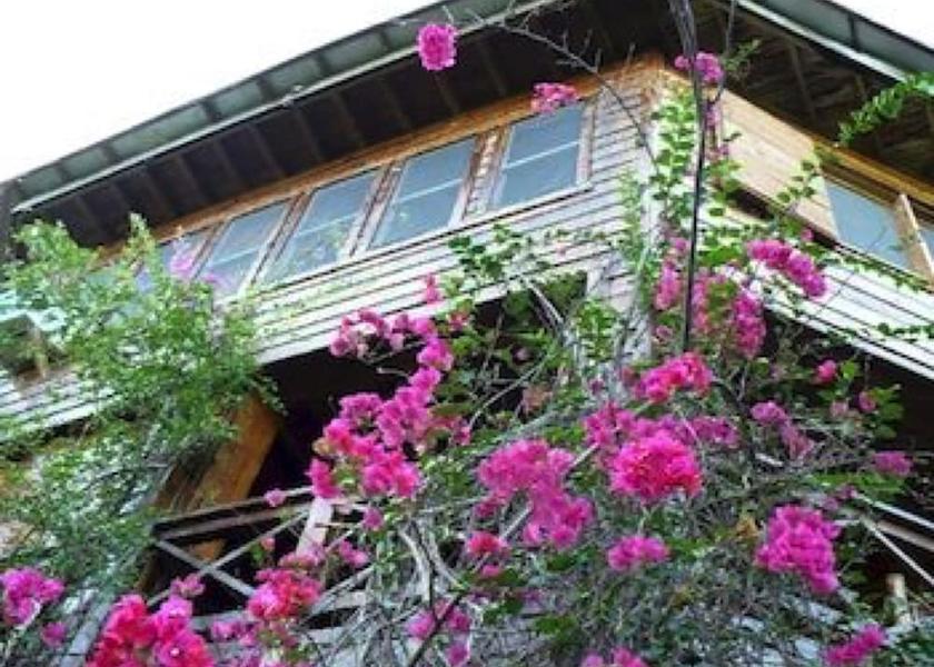 Islas de la Bahia Roatan Facade