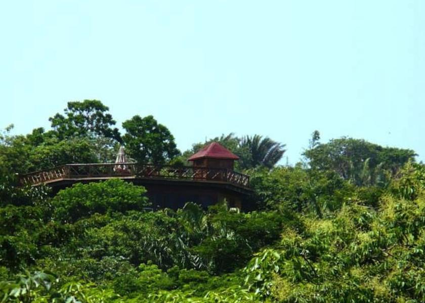 Islas de la Bahia Roatan Aerial View