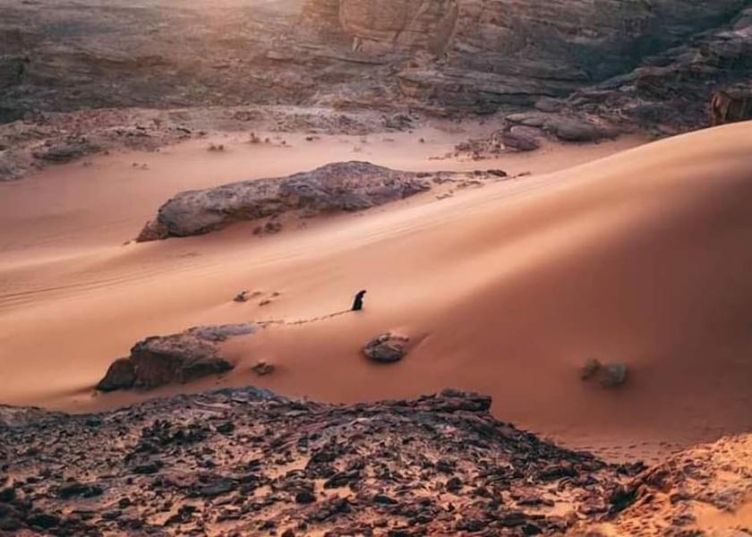 Aqaba Governorate Wadi Rum Property Grounds