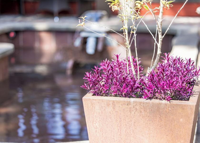  Palanga Exterior Detail