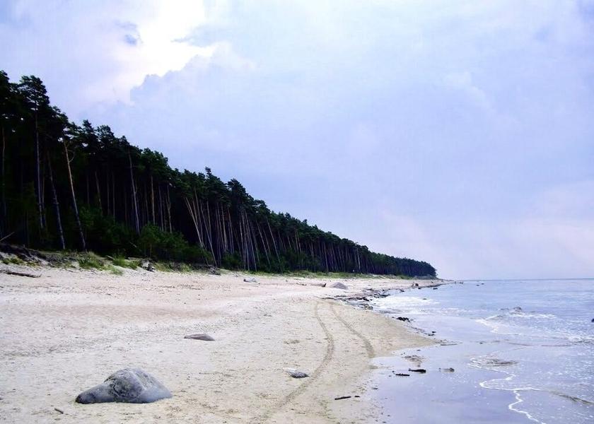  Palanga Beach