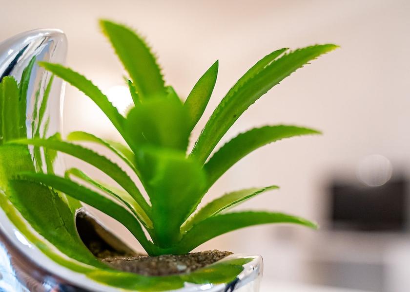  Riga In-Room Amenity