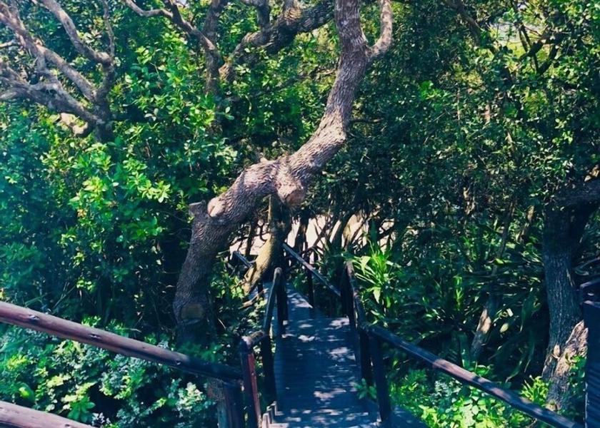  Ponta d'Ouro Exterior Detail