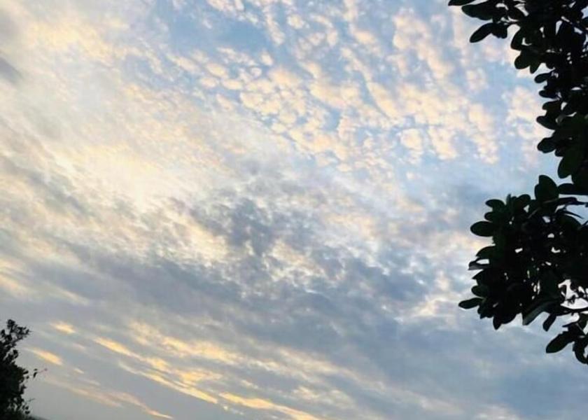  Ponta d'Ouro Property Grounds