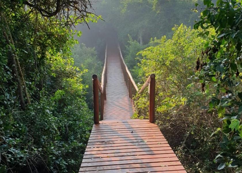  Ponta d'Ouro Exterior Detail