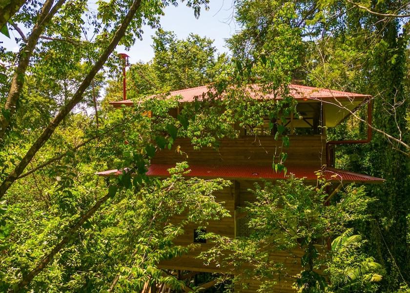 Bocas del Toro Province Bastimentos Room