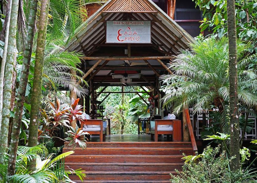 Bocas del Toro Province Bastimentos Reception