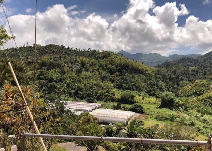  Adjuntas Exterior Detail