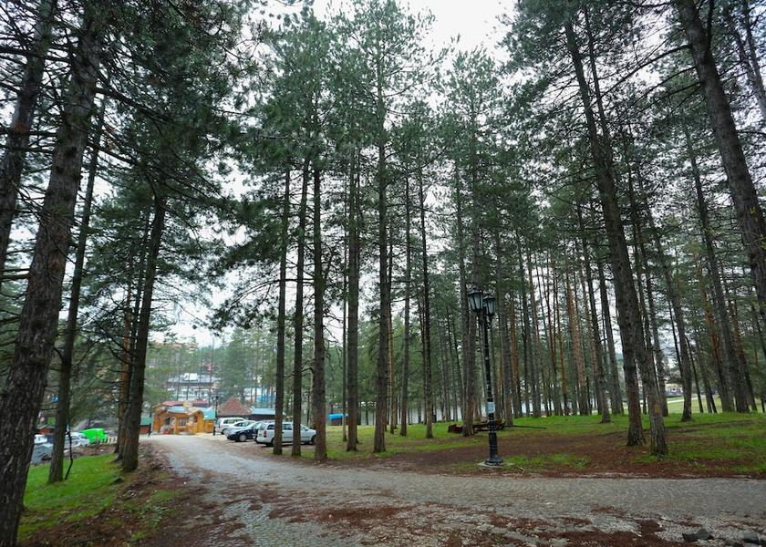  Zlatibor Exterior Detail